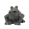 thumbnail image 3 of Benjara BM238458 14 in. Polyresin Frog Planter with Textured Accents, Black, 3 of 5