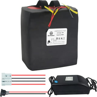 72V 15ah Li-ion Rechargeable Ebike Battery Pack & Charger NEW