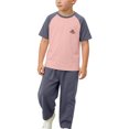 thumbnail image 5 of Amidoa Toddler Girls 2 Piece Outfits Summer Clothes T Shirt Cute Solid Color Ruffle Sleeve Short Sleeves Casual Pants Kids Clothing Sets Pink Size 3T, 5 of 8