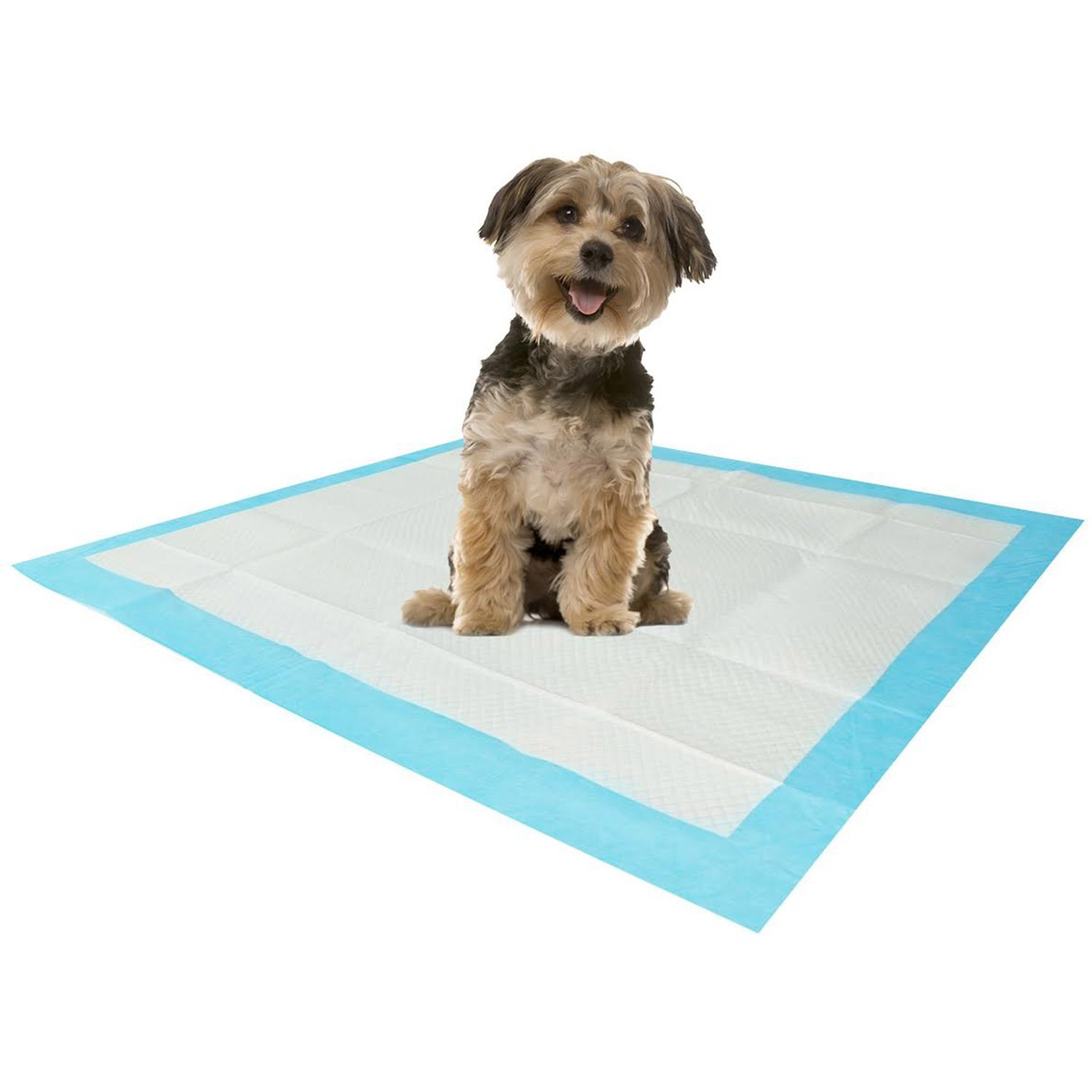 pee pad floor protector