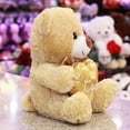 thumbnail image 3 of Oso Teo Corazon 25 cm, 3 of 5