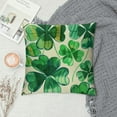 thumbnail image 2 of Nawypu St Patricks Day Decorative Throw Pillow Covers Lucky Clover Shamrock Stripe Cushion Case Decor, Beer Hat Gold Coin Decoration for Sofa Couch, 2 of 5