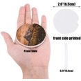 thumbnail image 2 of FMSHPON Mountain Peak Forest Landscape Wood Grain Set of 6 Car Coaster for Drinks, Absorbent Ceramic Stone Coasters Cup Mat with Cork Base for Home Kitchen Room Coffee Table Bar Decor, 2 of 5