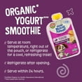 thumbnail image 3 of (3 pack) Earth's Best Organic Digestive Support Toddler Food, Banana Pumpkin Raisin Smoothie, 4 oz Pouch, 3 of 13