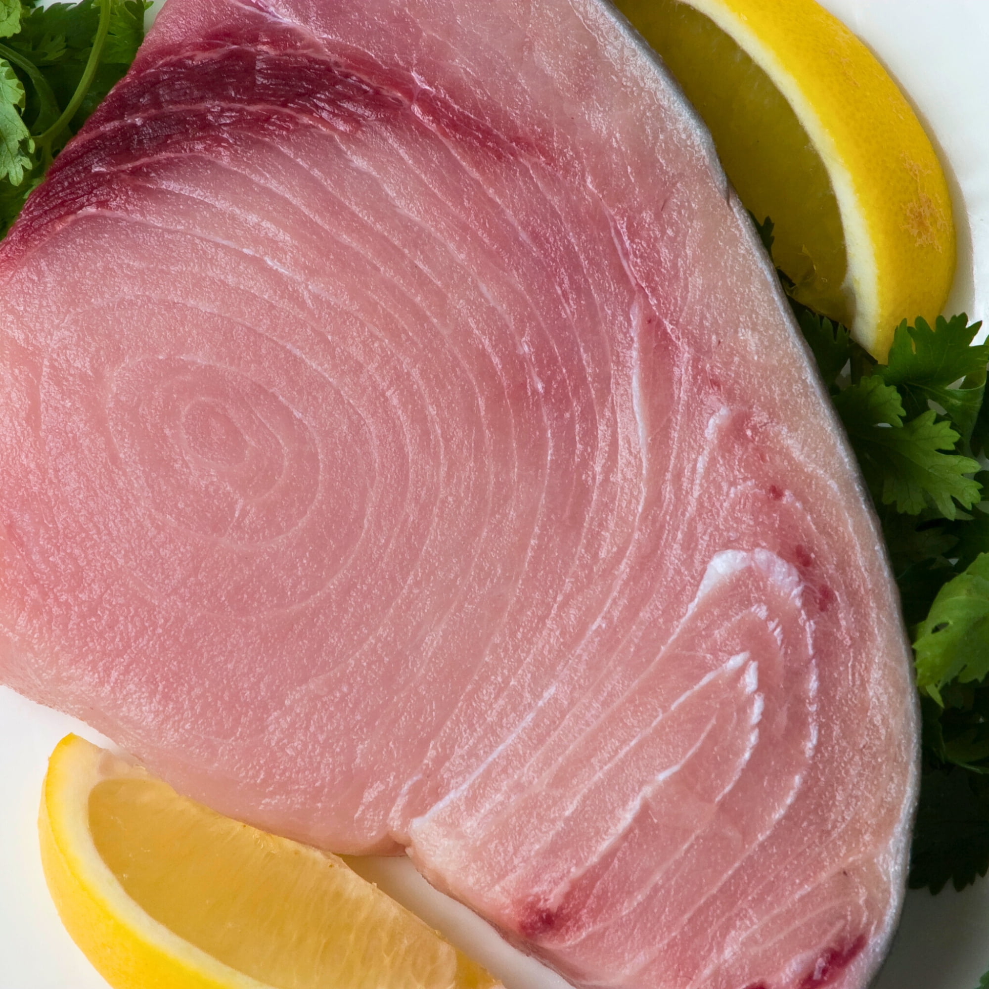 Today Gourmet Frozen Swordfish Steaks (10) 8oz. Steaks