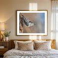 thumbnail image 3 of White-breasted Nuthatch in Minnesota - Photography Bird Wildlife Nature Woodland Animal Scenic Winter Oak Framed Wall Art Print 8 x 10 inches, 3 of 5