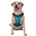 thumbnail image 1 of Balery Blue to turquoise Arnés para Perros Grandes Antitirones, Arnés con Correa para Gato, Arnés Tipo Chaleco para Perros Pequeños-Large, 1 of 6