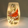 thumbnail image 2 of Stony Creek CARDINAL LIGHTED GLASS VASE Glass Indoor Use Ldb7205 Male, 2 of 2