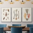 thumbnail image 2 of Knorr Shells & Coral IV - Framed Premium Gallery Wrapped Canvas L Frame 3 Piece Set - Ready to Hang, 2 of 9