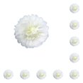thumbnail image 2 of Injueey Flores de papel Decoraciones florales para fondo decorativo de pared Flor de boda para decoración de fiesta de aniversario Blanco Blanco Leche 25cm 10piezas, 2 of 6