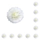 thumbnail image 1 of Matsuzay Flores de papel Decoraciones florales para fondo decorativo de pared Flor de boda para decoración de fiesta de aniversario Blanco Blanco Leche 25cm 10piezas, 1 of 6