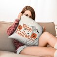thumbnail image 6 of Trick or Treat Throw Pillow Cases 20x20 Inch Set of 2 Happy Halloween Pumpkin Ghost Pillow Cases Sofa Bed Throw Cushion Cover for Living Room Decoration, 6 of 6