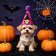 thumbnail image 6 of Aoznliie Dog Hat, Funny Adjustable Halloween Hat for Party Apparel, 4x4 inch Lightweight Pet Party Hat for Halloween Photo Props, Purple, 6 of 6