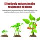 thumbnail image 5 of Moonspry Organic Slow Release Fertilizer Is A General Organic Slow Release Compound Fertilizer For The Growth Of Flowers And Trees, 5 of 6