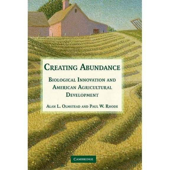 Creating Abundance, (Paperback)