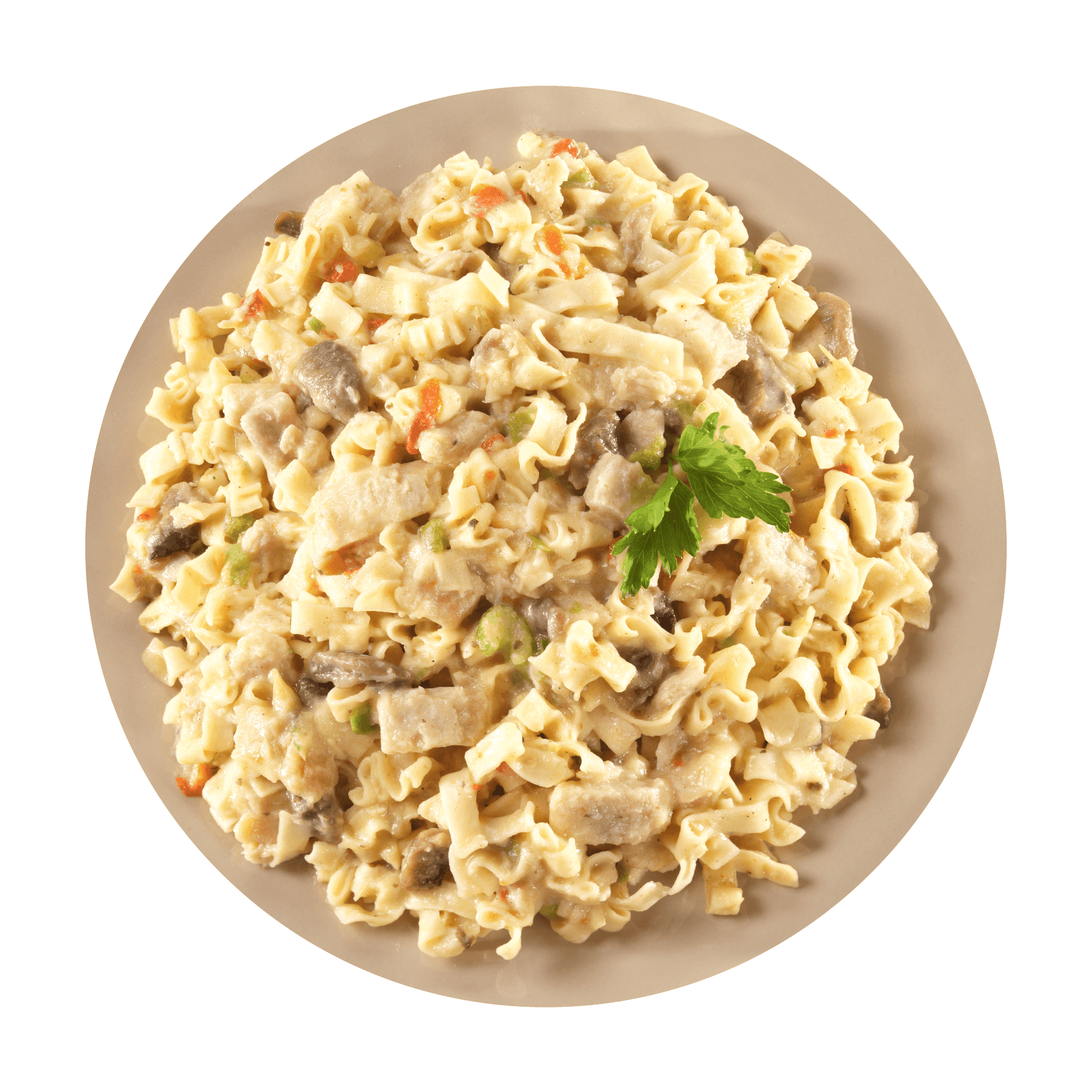 Mountain Casserole Shelf Stable No Preservatives Freeze Dried Noodle Backpacking Food, Chicken, Can