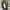 Army Green, variant on Yuwull Fall Coats For Women 2024 Jacket For Women Trendy Fashion Women'S Printed Outwear Long Sleeved Hooded Casual Zipper Jacket Athletic Jacket Women On Clearances