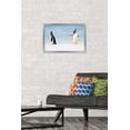 thumbnail image 2 of The Comedy Wildlife Photography Awards: Jennifer Hadley - Talk To The Fin Wall Poster, 14.725" x 22.375" Framed, 2 of 5