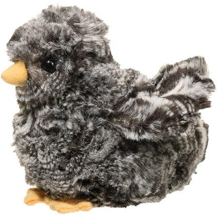 Douglas Black Multicolored Chick