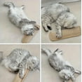 thumbnail image 7 of Catnip Kicker Pillow, 2 Pack Catnip Toys for Indoor Cats, Interactive Catnips Chew Toy, Catnips Toys, Sisal Scratching Pad (4PCS), 7 of 7