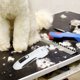 thumbnail image 1 of unbranded Kit De Cortapelos Para Perros Con Trimmer Y Nivel De Vibración, 1 of 8