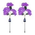 thumbnail image 1 of Luz del césped Irfora 2 paquetes de luces solares de hortensia iluminación automática IP65 impermeable jardín césped estaca luz decoración al aire libre Irfora Luz del césped, 1 of 7