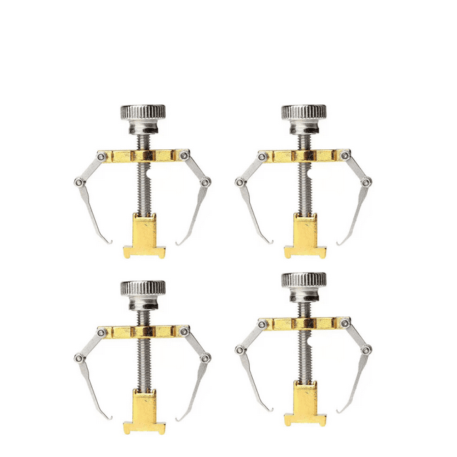 4 piezas levantador de uñas encarnadas herramienta para uñas encarnadas clip para dedo del pie de acero inoxidable herramienta para el cuidado de los pies paroniquia (dorado)