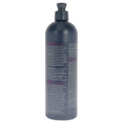 Roux Fanci-Full Temporary Haircolor Rinse, Black Rage 15.2 oz