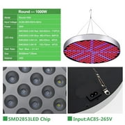 50W Plant Growing Lamps LED Grow Light Full Spectrum Phyto Lamp For Indoor Hydroponic Flowers Seedlings Grow Tent ,Thrive