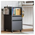 Rolling File with 2 Drawer, Mobile Files Cart with Lock and