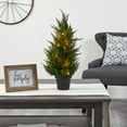 thumbnail image 4 of Nearly Natural 18in. Cedar Artificial Tree with LED Lights UV Resistant (Indoor/Outdoor), 4 of 4