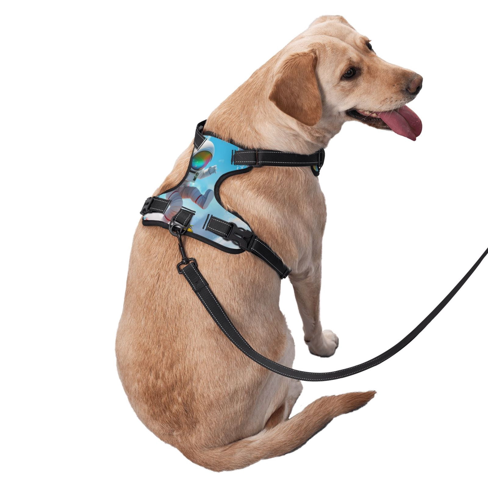 Fuzoiu Astronaut Tropical Dolphin Print Reflective Dog Harness,Adjustable, Breathable Pet Vest,Dog Harness No Pull,No Choke Pet Vest for Small, Medium, and Large Dogs-Large