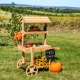 thumbnail image 2 of Sunnydaze Country Market Flower Cart Display Stand - 49.25" H - Natural Fir, 2 of 9