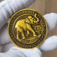 thumbnail image 4 of Moneda de buena suerte CYOUNG Prosperity Success Happiness Token, 4 of 6