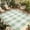Light Green White, variant on Sage Green Plaid Outdoor Rug for Patio/Deck/Porch, Non-Slip Large Area Rug 5 x 7 Ft, Spring Farmhouse Buffalo Checkered Indoor Outdoor Rugs Washable Area Rugs, Reversible Camping Rug Carpet Runner