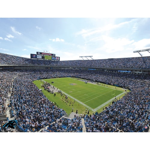 Artissimo Designs NFL Panthers Stadium Canvas, 22x28