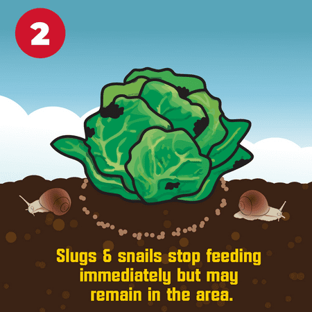 Corry's Ready-to-Use Pellets Slug and Snail Killer, 3.5 lbs