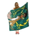 thumbnail image 2 of Disney Encanto Throw Blanket, Silk Touch, 50x60, Multicolor, 100% Polyester, 1 Each, 2 of 2