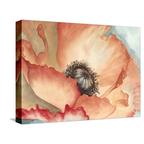 Art.com Watercolor Poppy II Stretched Canvas Print Wall Art by Megan Meagher, 16" x 12"