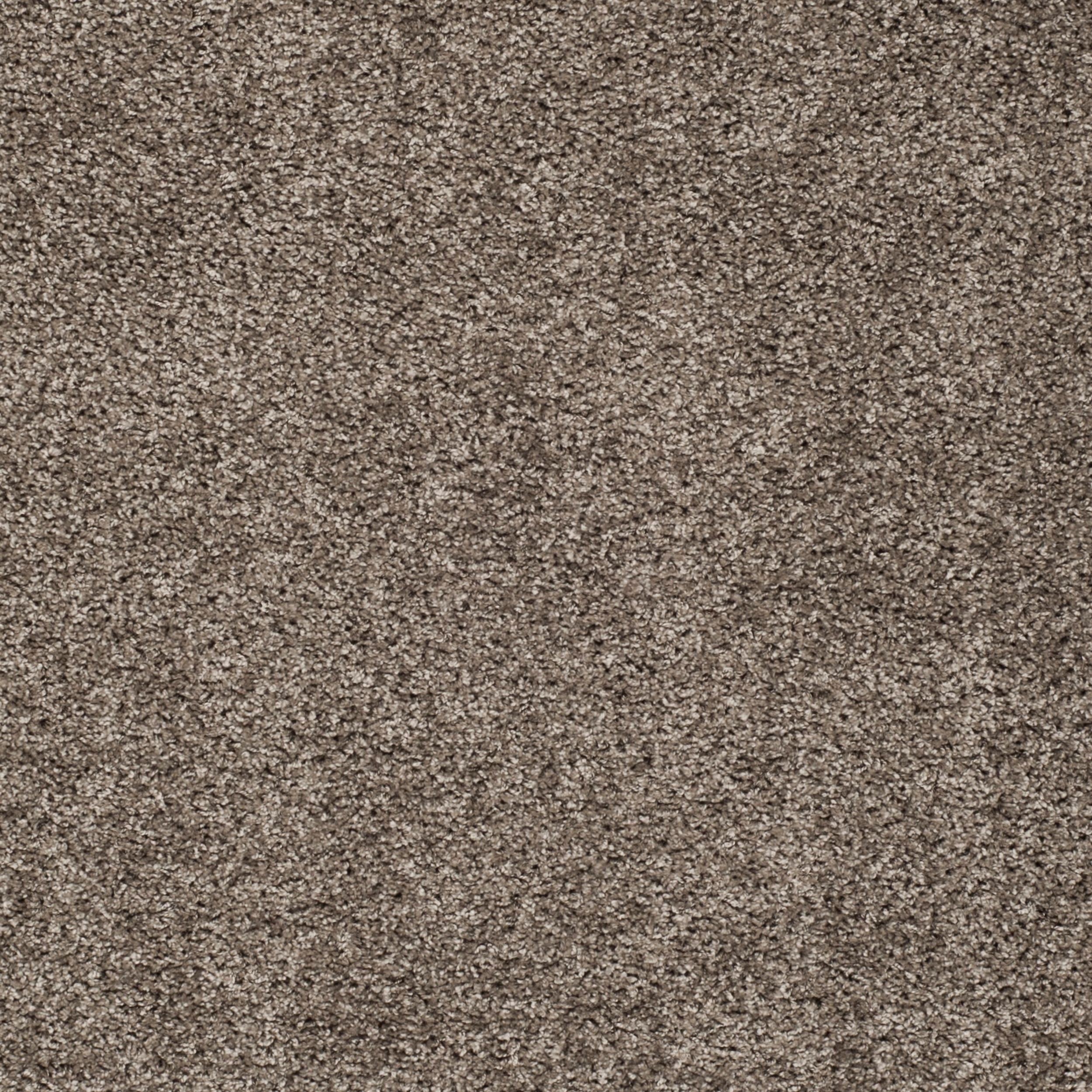 SAFAVIEH New York Willis Plush Solid Shag Area Rug, Grey, 4' x 6'