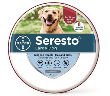 bravecto for dogs at walmart