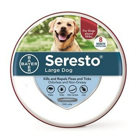 Seresto Flea and Tick Prevention Collar for Large Dogs, 8 Month Flea and Tick (Best Way To Give A Dog A Flea Bath)
