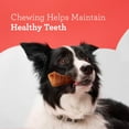 thumbnail image 5 of DreamBone Peanut Butter Flavored Rawhide-Free Dog Chews, Large, 12 Oz. (3 Count), 5 of 10