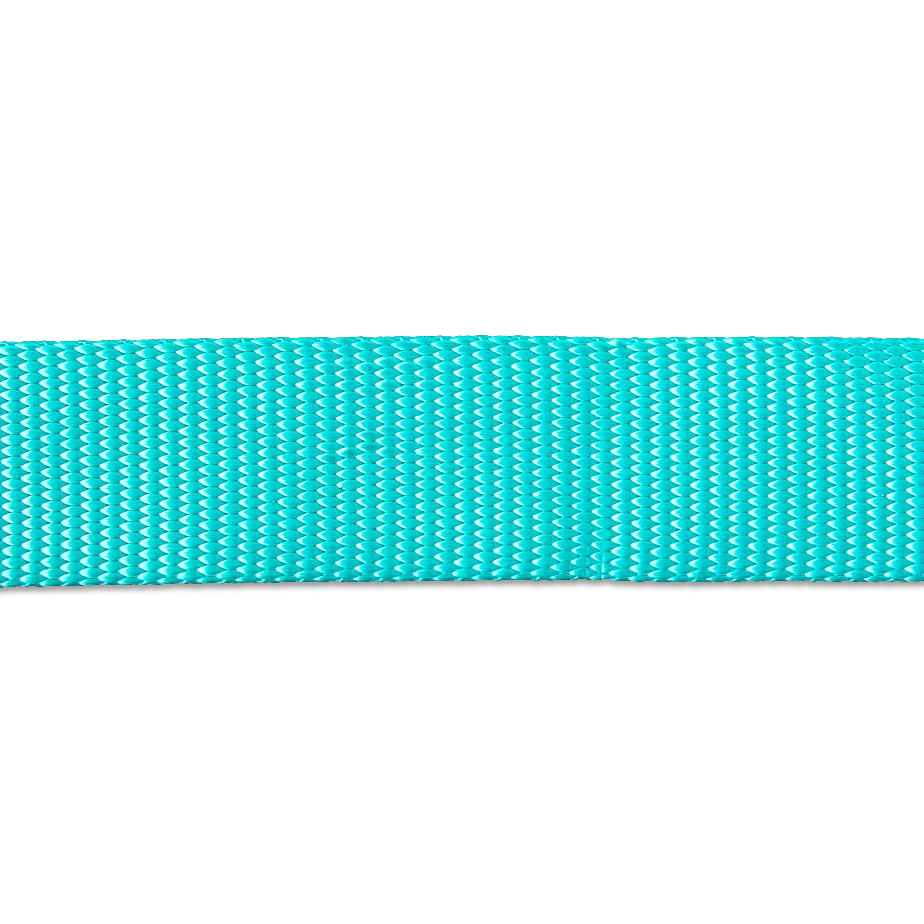 Vibrant Life 4' Polyester Standard Dog Leash, Teal