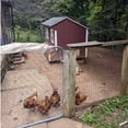 thumbnail image 2 of Bird Netting for Chicken Coop,25x50 FT Heavy Duty Poultry Netting for Chicken Run,Pen and Garden,Prevent Birds,Deer,Squirrels,Ideal for Fruit Trees,Blueberry Bushes,Vegetables, 2 of 7