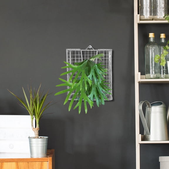 LOLIPPYY Indoor Outdoor Wall Planter Holder Stainless Steel Vertical Basket for Orchids