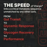 Vitargo Fruit Punch 20 Scoop 1.7 lbs Fast Digesting Carb for Pre workout and Intra workout fueling, Post workout Muscle Recovery, Certified BSCG Drug-Free