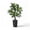 Black, variant on Artificial Dracaena Tree Indoor, 5FT Tall Fake Tree with Black Tall Planter, Artificial Tree Fake Yucca Potted Tree for Home Office Living Room Decor, Tall Artificial Plant for Housewarming