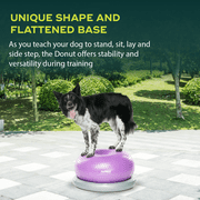FitPAWS® TRAX™ Donut | Dog Balance Training Platform & Exercise Equipment | Workout Tool for Strength, Core & Stability