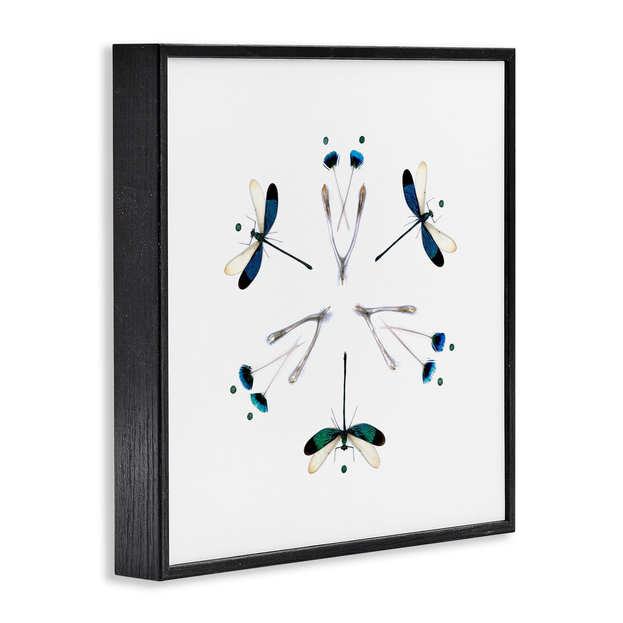 Stupell Industries Simple Dragonfly Symmetry Black Framed Giclee Art, design by Beth Adoette